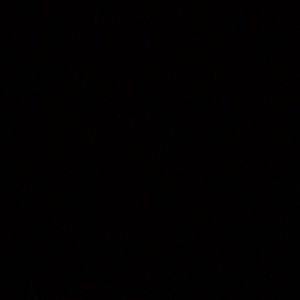 Meet your Posher, Zaida